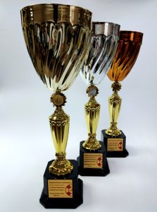 Кубки наградные Школа безопасности