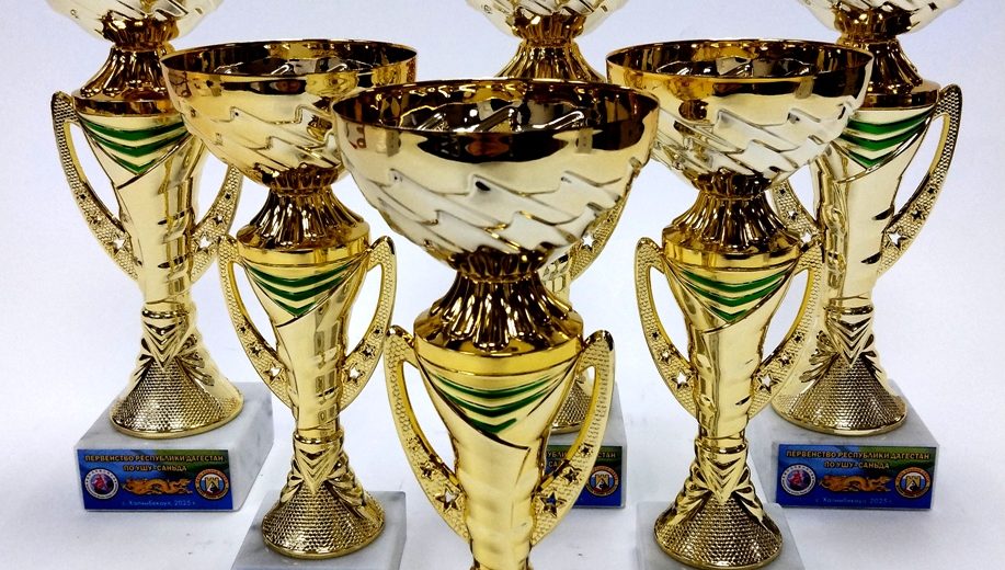 Кубки, медали, грамоты для Первенства Республики Дагестан по ушу-саньда