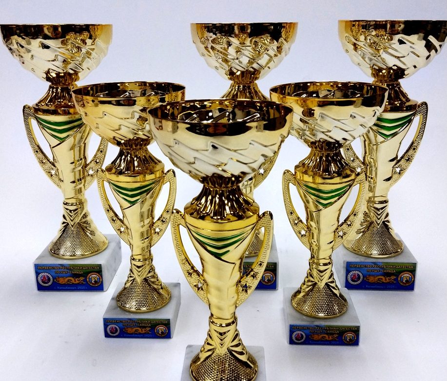 Кубки, медали, грамоты для Первенства Республики Дагестан по ушу-саньда
