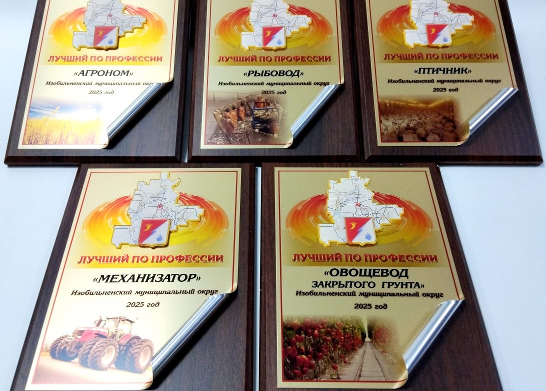 Награды для победителей конкурса «Лучший по профессии»