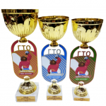 Лицензионная наградная атрибутика для спортивных мероприятий в рамках Всероссийского физкультурно-спортивного комплекса «Готов к труду и обороне» (ГТО)