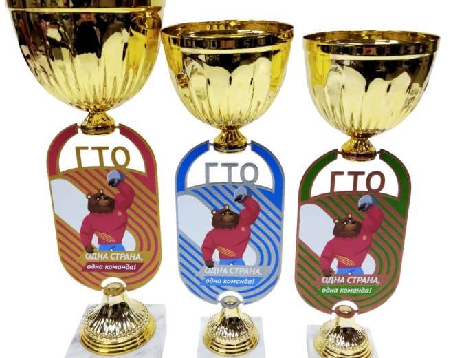 Лицензионная наградная атрибутика для спортивных мероприятий в рамках Всероссийского физкультурно-спортивного комплекса «Готов к труду и обороне» (ГТО)