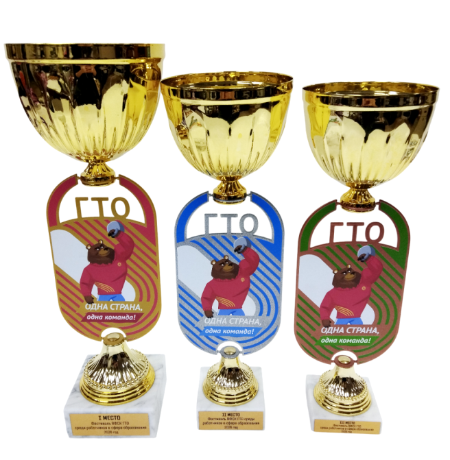 Лицензионная наградная атрибутика для спортивных мероприятий в рамках Всероссийского физкультурно-спортивного комплекса «Готов к труду и обороне» (ГТО)