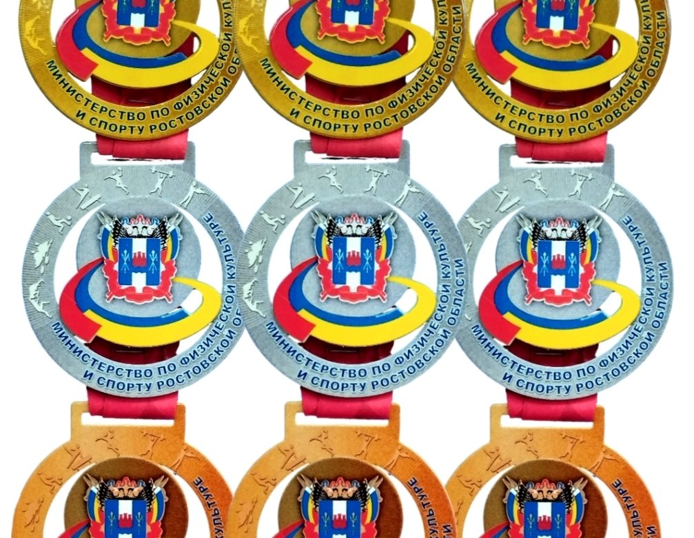 Награды для Межстилевого фестиваля по базовой технике от Федерации кумитэ в доспехах в Ростове-на-Дону