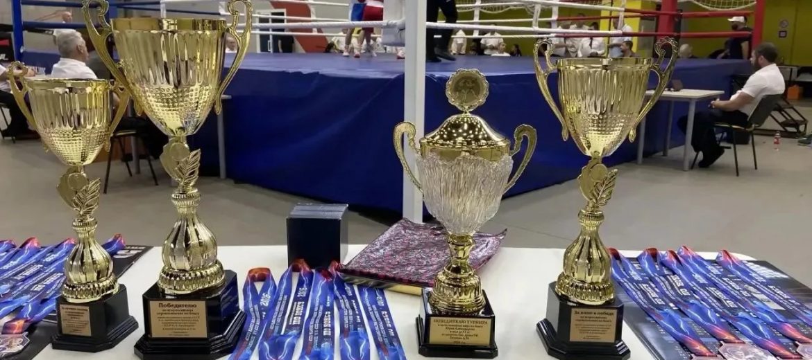 В Невинномысске завершился турнир по боксу: награды от компании «Сан-Сан» стали символом побед