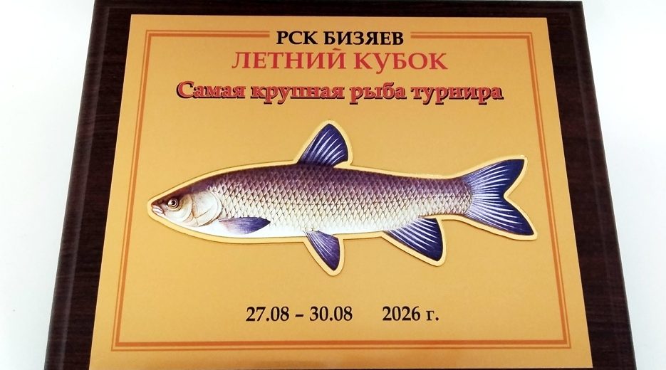 Рыбалка — дело тонкое, а награды — дело «Сан-Сан»!