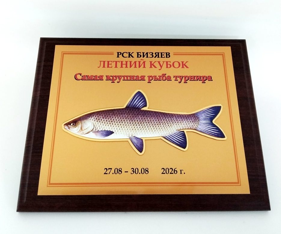 Рыбалка — дело тонкое, а награды — дело «Сан-Сан»!